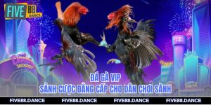 Đá Gà VIP
