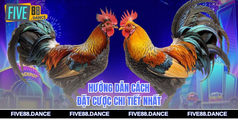 Hướng dẫn cách đặt cược chi tiết nhất