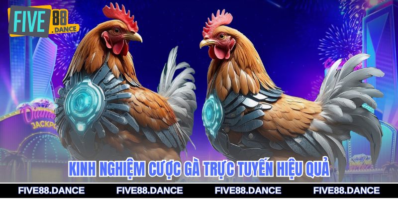 Kinh nghiệm cược gà trực tuyến hiệu quả