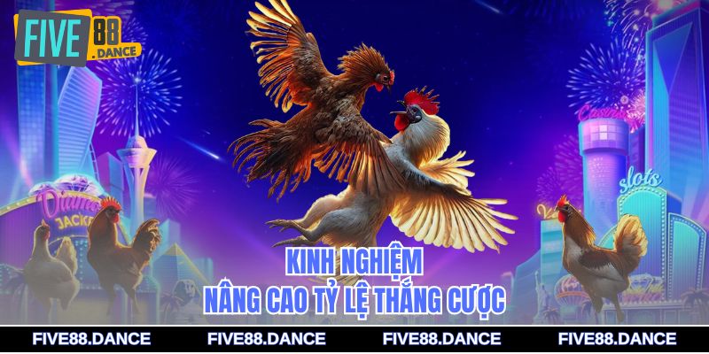 Kinh nghiệm nâng cao tỷ lệ thắng cược